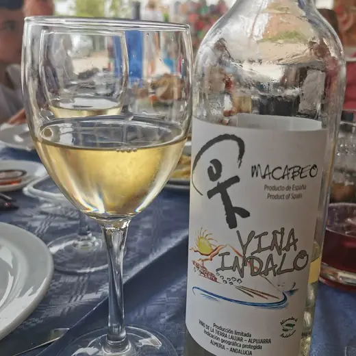 Copa de vino Viña Indalo