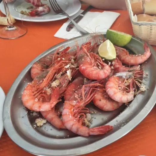 Gamba roja